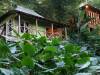 Kanopi House